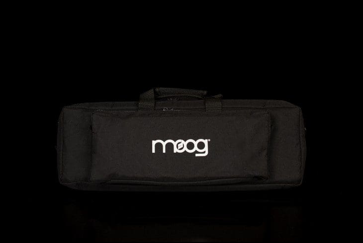 MOOG Gig bag Ether standard, plus, kit, theremini