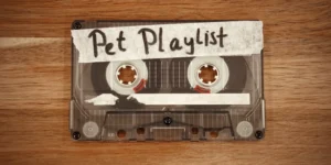 cinta-de-cassete-play-list