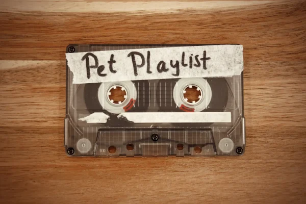 cinta-de-cassete-play-list