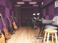 AURALEX Studio foam wegde 2" x12