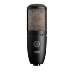 AKG P220 — vista frontal