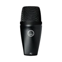 AKG P2 - Imagen 2