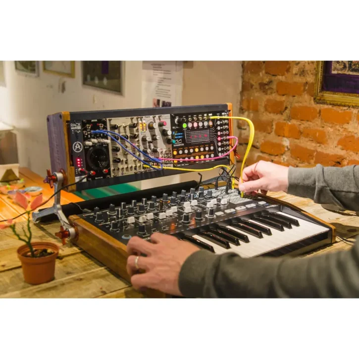 Arturia Minibrute 2 Negro - Imagen 5
