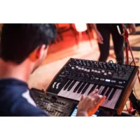 Arturia Minibrute 2 Negro - Imagen 6