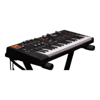 ASM Hydrasynth Explorer - Imagen 2
