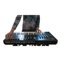 ASM Hydrasynth Keyboard - Imagen 4