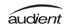 AUDIENT