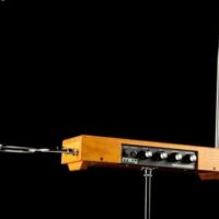 MOOG Theremin etherwave color madera