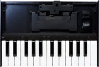 ROLAND K25M - Imagen 2