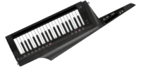 KORG RK-100S 2 BK