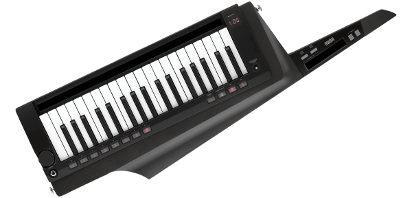 KORG RK-100S 2 BK - Imagen 1