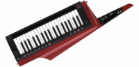 KORG RK-100S 2 RD