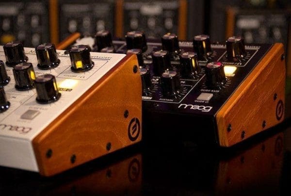 MOOG Wood kit minitaur - Imagen 1