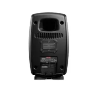 Genelec 8361AM - Imagen 6