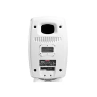 Genelec 8361AW - Imagen 9