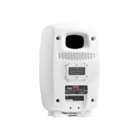 Genelec 8361AW - Imagen 2