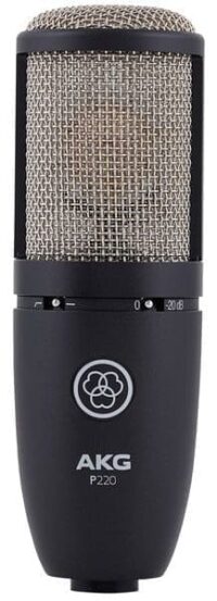 AKG P220