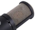 AKG P220 — imagen 5