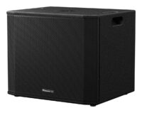 Pioneer Dj XPRS 1182ST SUB 18" - Imagen 11