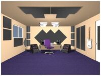 AURALEX Pro plus - Imagen 2