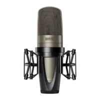 SHURE KSM 42/SG - Imagen 2