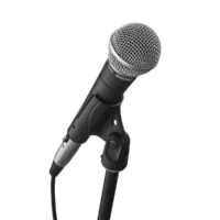 SHURE SM 58LCE - Imagen 4