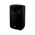 Mackie Srm350V3