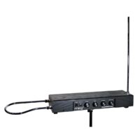 MOOG Theremin etherwave standard Negro