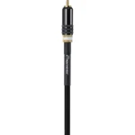 Pioneer DAS-RCA020R WL5 - Pareja - Imagen 3