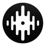 Serato DJ Logo Slipmats White on Black - Imagen 2